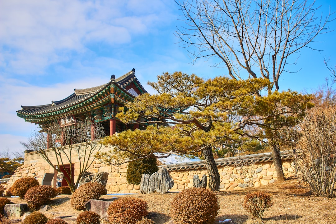 Detail keluaran harian Korea per posisi minggu 25 Mei–31 Mei 2026