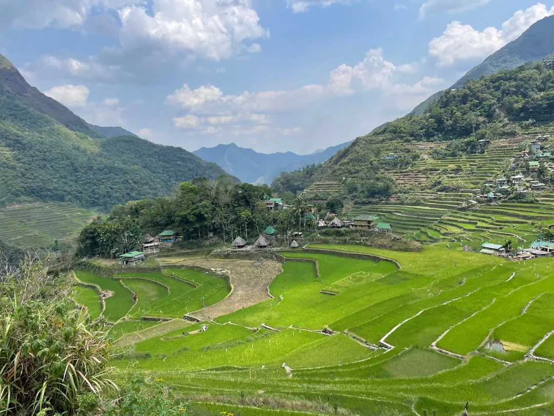 Riwayat PCSO di komunitas togel - Philippines Banaue rice terraces landscape