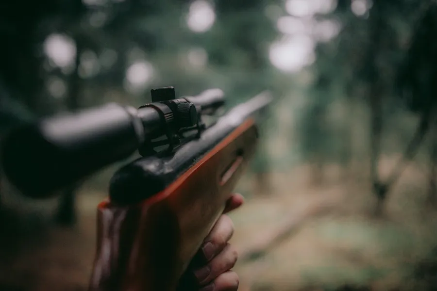 Ilustrasi mimpi berburu hewan — selective focus photography of brown hunting rifle