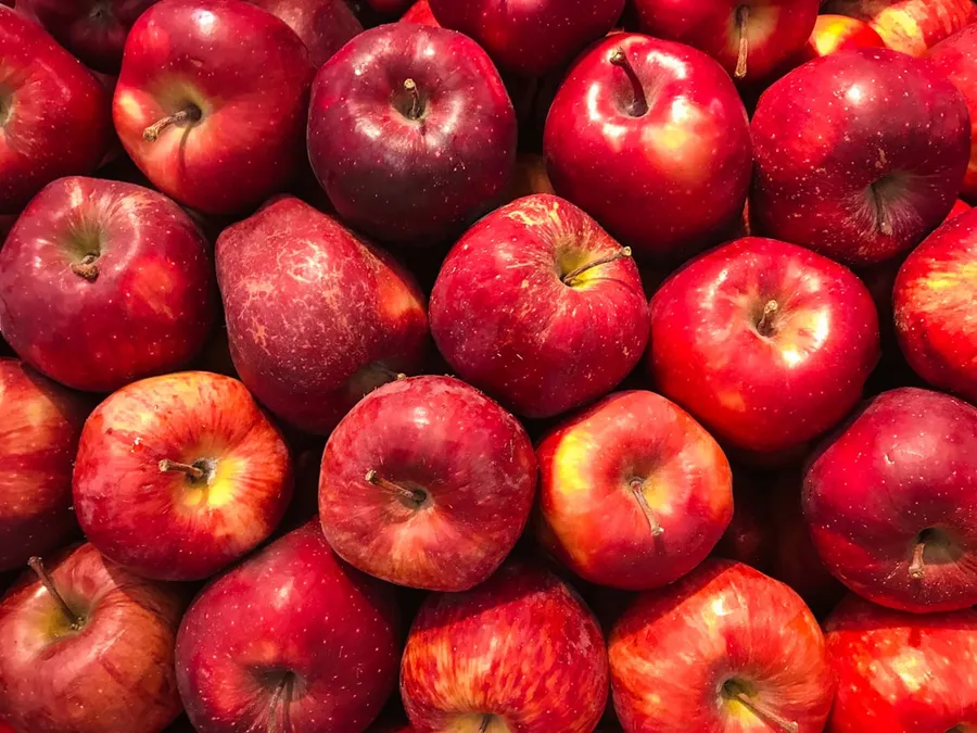 Ilustrasi mimpi buah apel — bunch of red apples