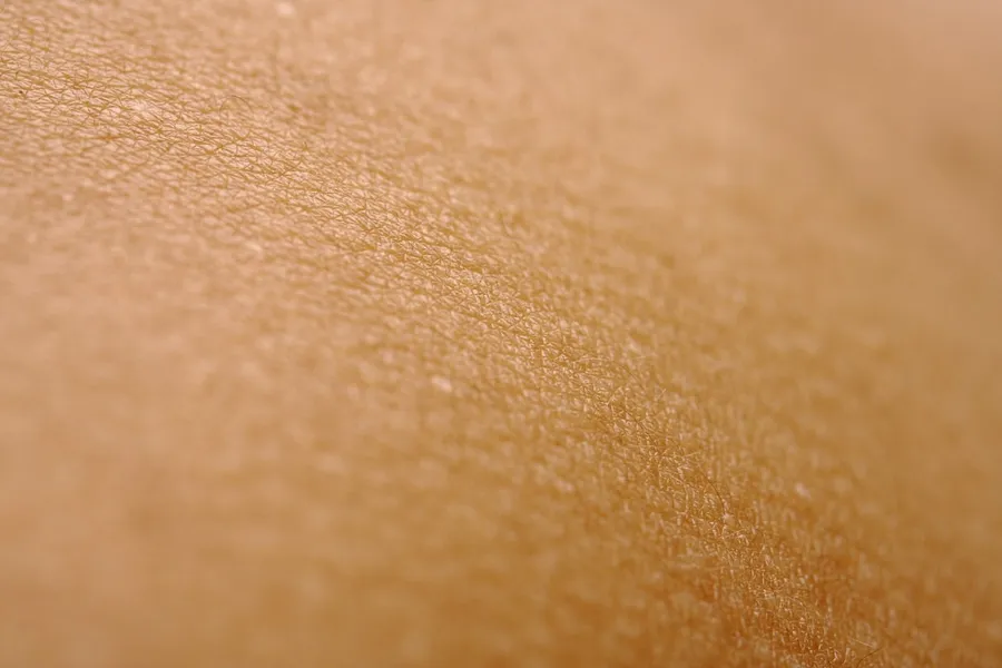 Ilustrasi mimpi bulu kaki — a close up view of a person's skin
