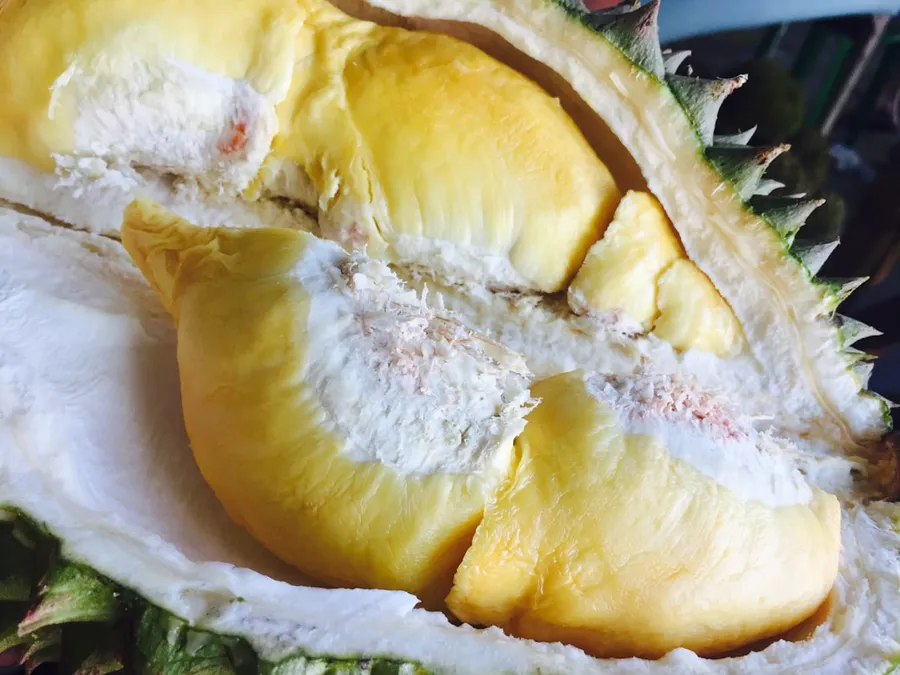 Ilustrasi mimpi durian — durian fruit
