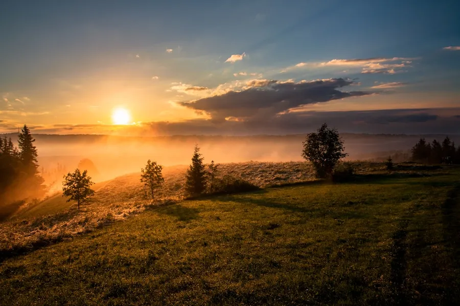 Ilustrasi mimpi fajar — trees under cloudy sky during sunset