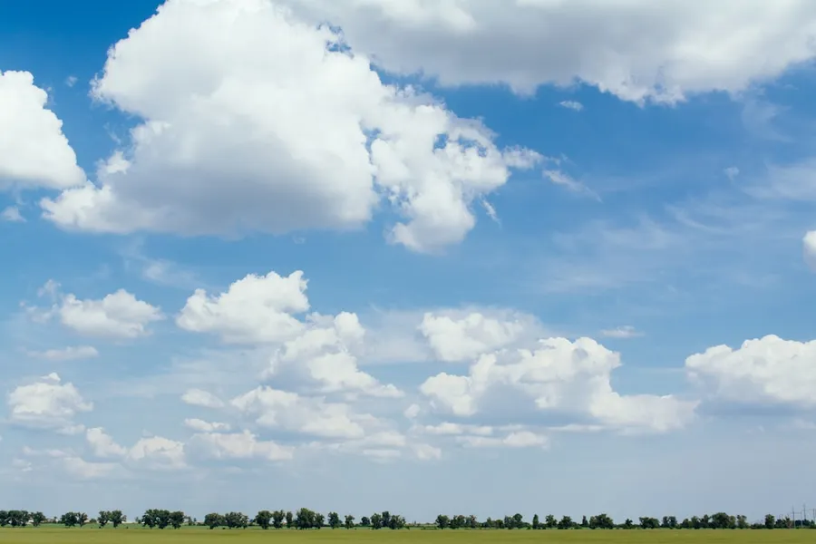 Ilustrasi mimpi garu langit — grass field at daytime
