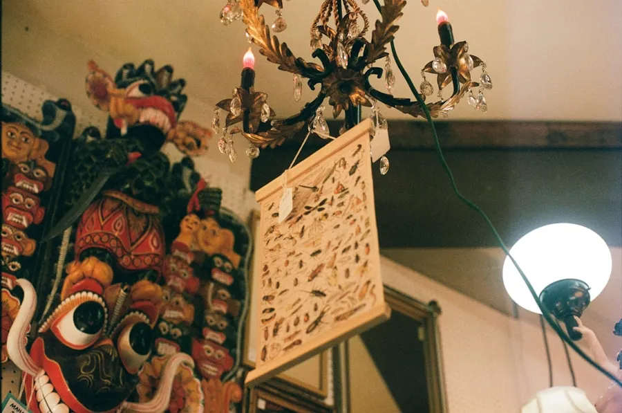 Ilustrasi mimpi kera hanoman — A chandelier hanging from the ceiling of a store