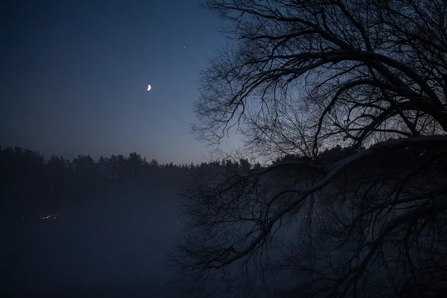 Ilustrasi mimpi hantu kuntilanak — a tree in the dark with a moon in the background