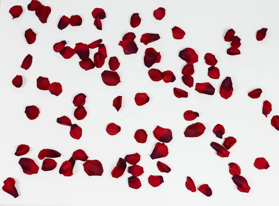 Ilustrasi mimpi hujan bunga — red petals