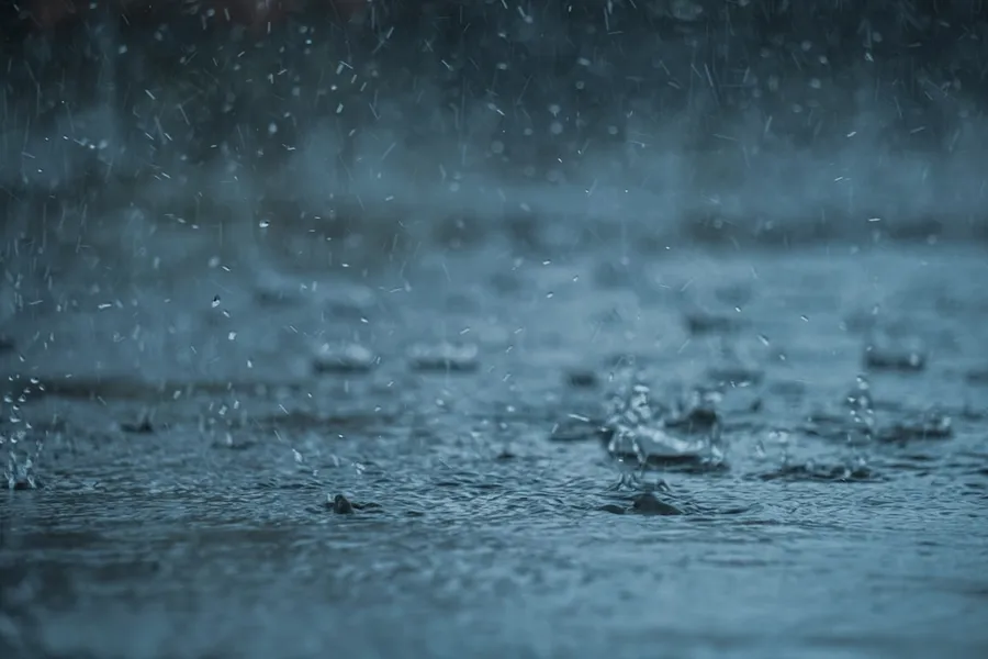 Ilustrasi mimpi hujan deras — a group of drops of water on the ground