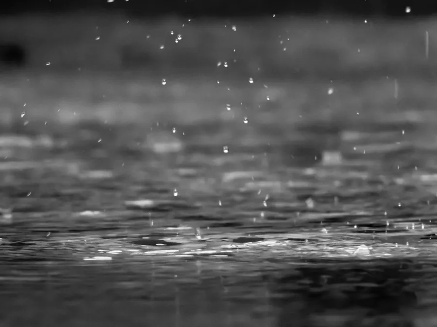 Ilustrasi mimpi hujan rintik — grayscale photography of raindrops