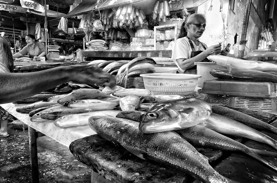 Ilustrasi mimpi ikan bandeng — grayscale photo of raw fish