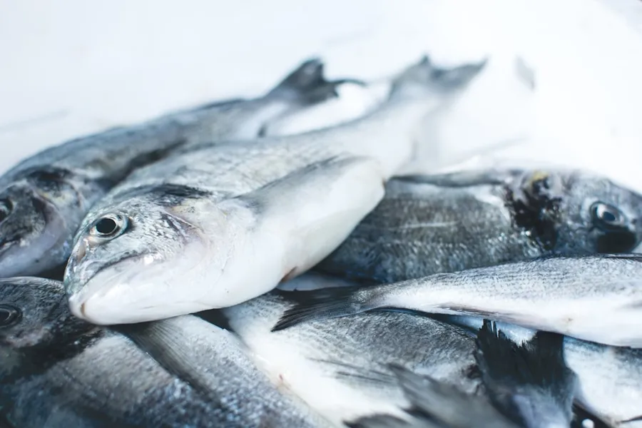 Ilustrasi mimpi ikan putih — pile of gray fishes