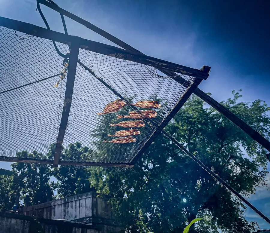 Ilustrasi mimpi jemur ikan — Fish drying on a rack under a blue sky.