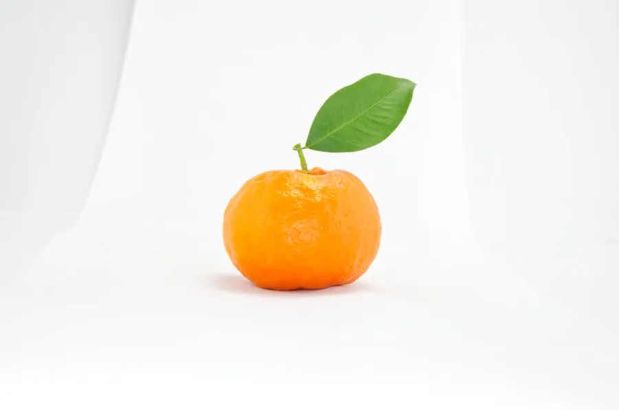 Ilustrasi mimpi jeruk keprok — round orange fruit