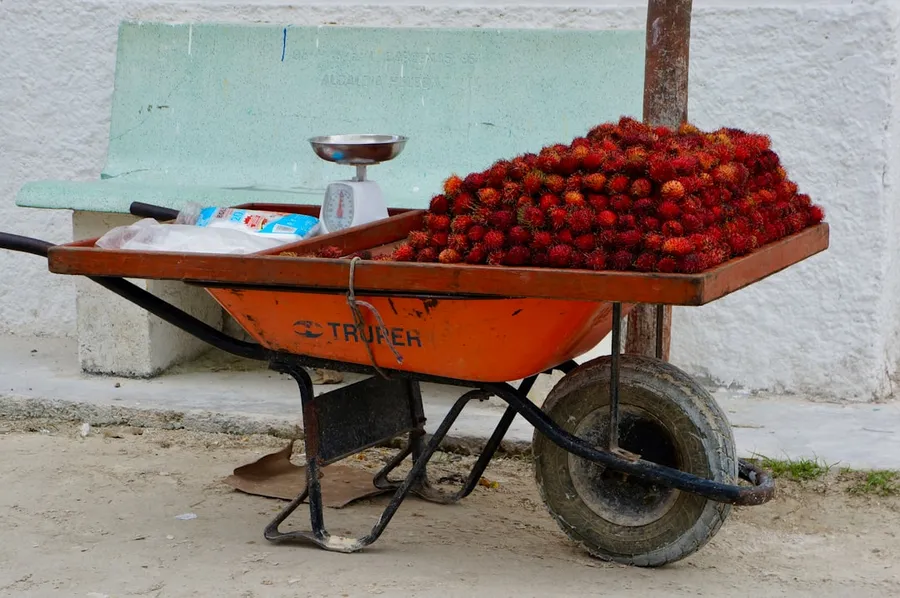 Ilustrasi mimpi jual rambutan — red round fruits on brown wooden cart