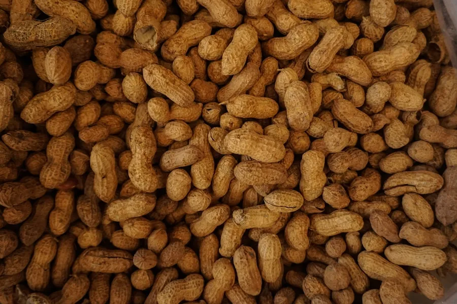 Ilustrasi mimpi kacang goreng — photography of brown nuts