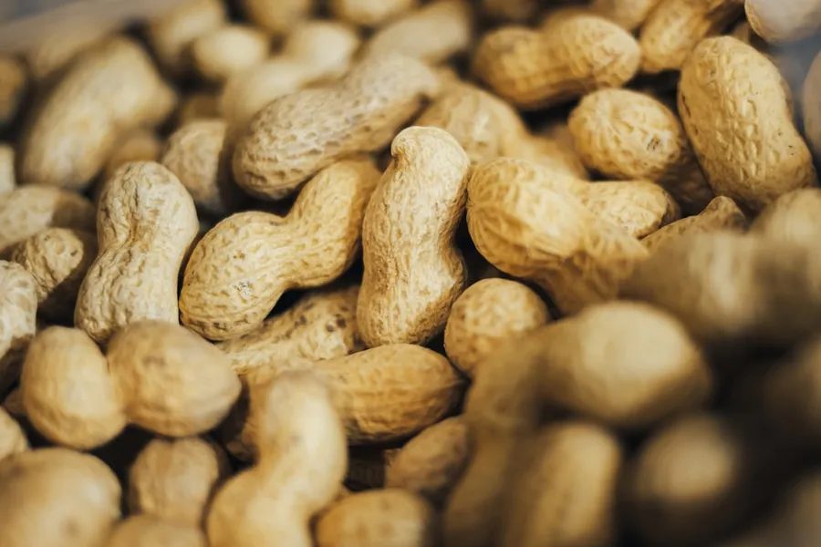 Ilustrasi mimpi kacang panjang — pile of peanuts