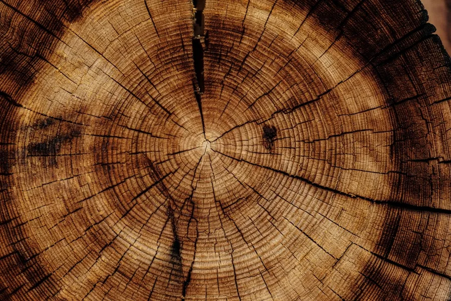 Ilustrasi mimpi kayu nasib — photo of brown wood slab
