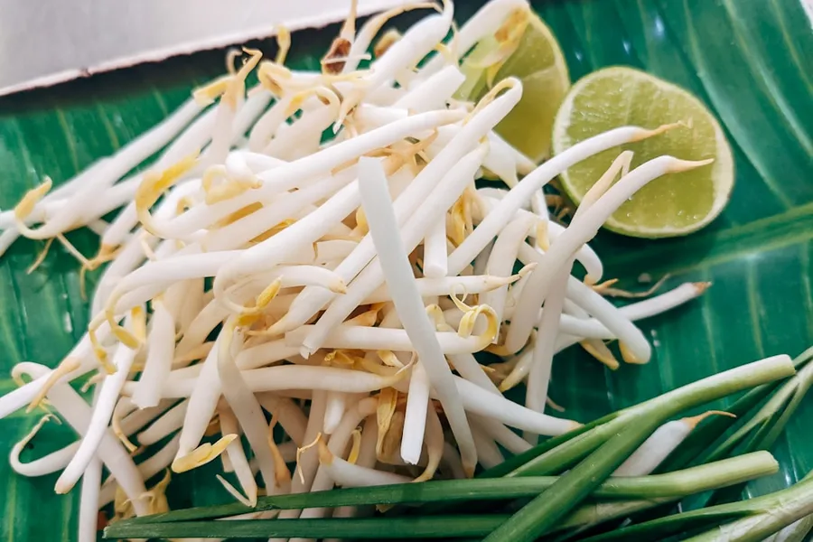 Ilustrasi mimpi kecambah — a close up of a plate of food on a table