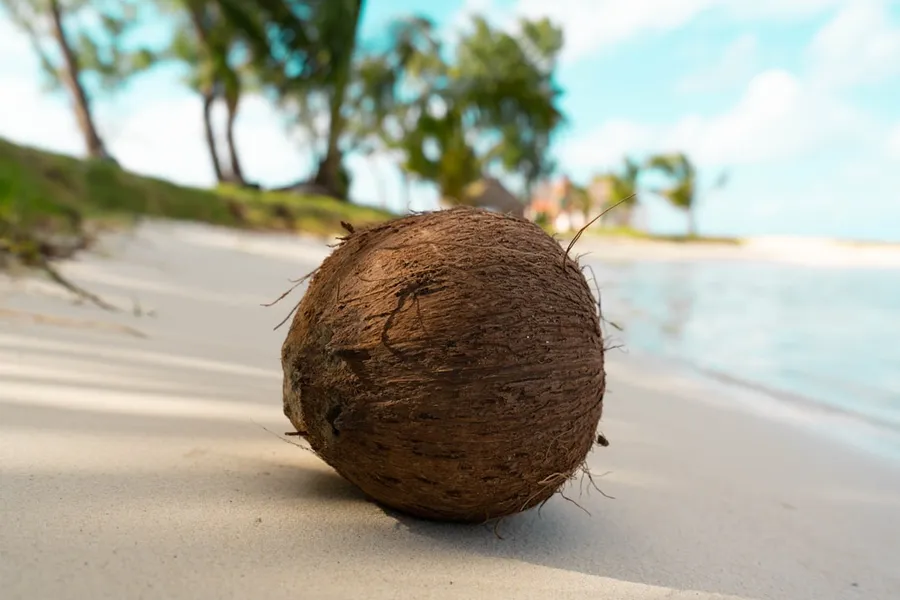 Ilustrasi mimpi kelapa jatuh — brown round ball on white sand during daytime