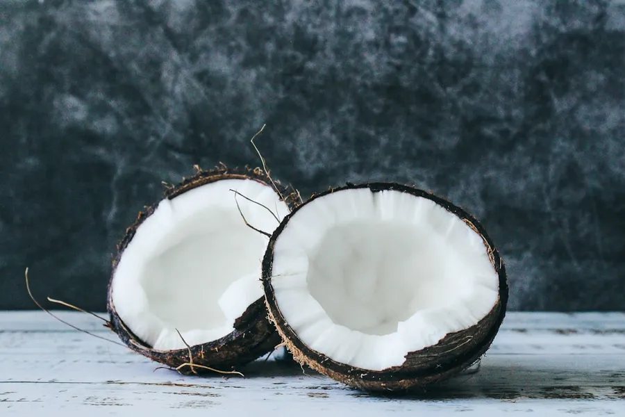 Ilustrasi mimpi kelapa — white and brown round ornament