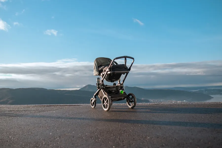 Ilustrasi mimpi kereta anak — a stroller sitting on the side of a road