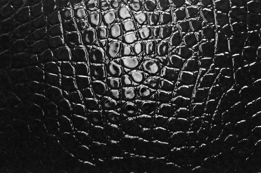 Ilustrasi mimpi kulit buaya — A black and white photo of a leather texture