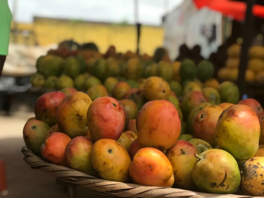 Ilustrasi mimpi kweni — Basket of ripe mangoes at an outdoor market