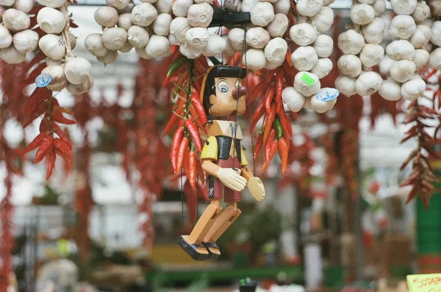 Ilustrasi mimpi lesmana mandra — Pinocchio hung near chilis and garlics