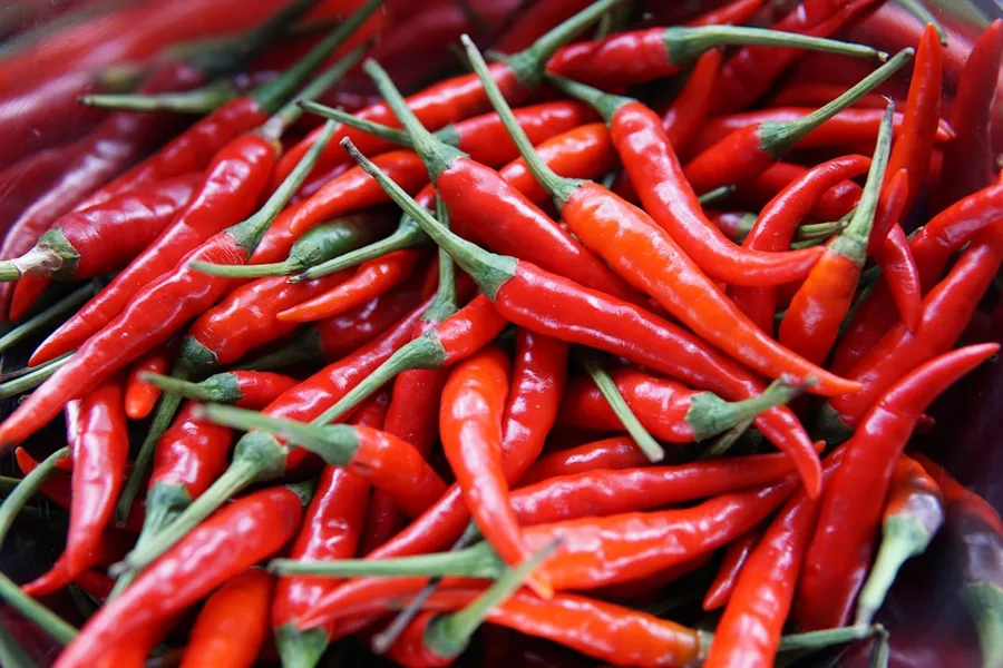 Ilustrasi mimpi lombok — red chili peppers
