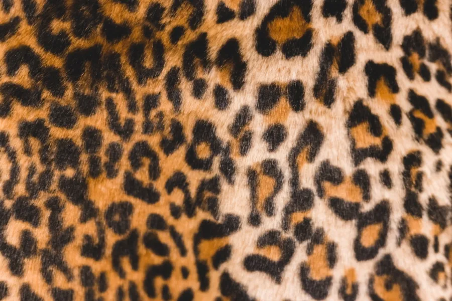 Ilustrasi mimpi macan — black and brown leopard print garment