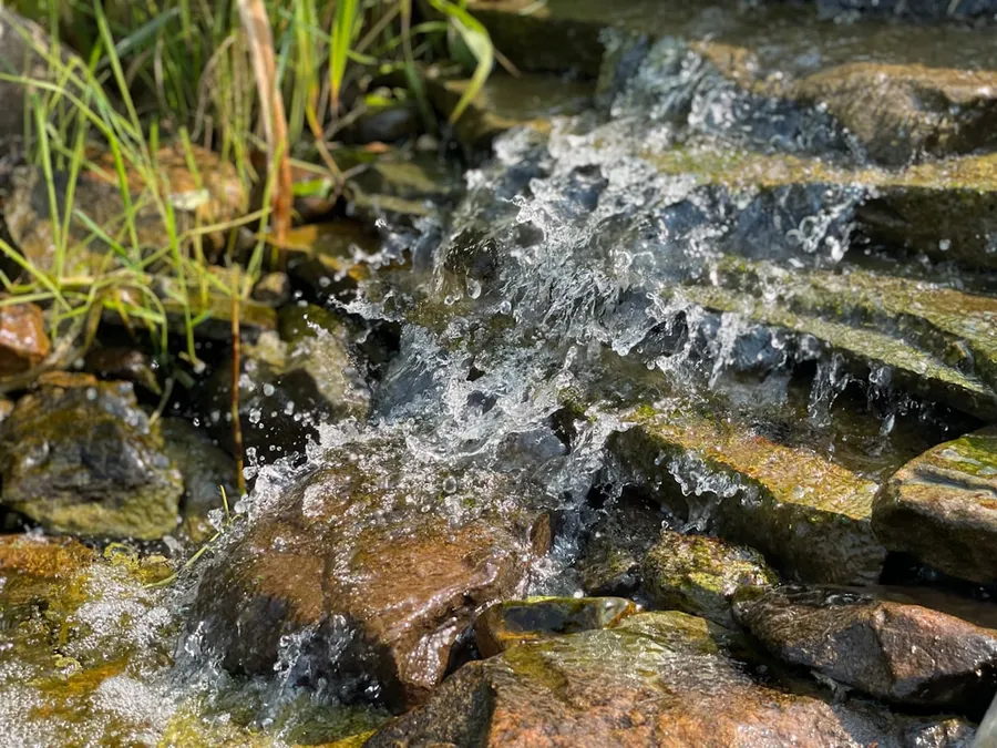 Ilustrasi mimpi mata air — water flowing on gray rocks