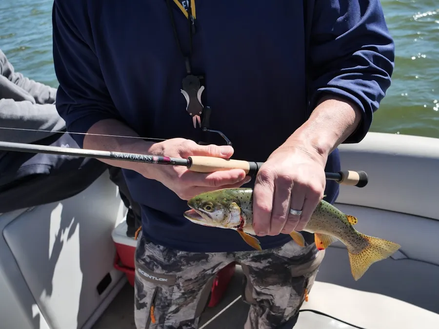 Ilustrasi mimpi memancing ikan — a man holding a fish while standing on a boat
