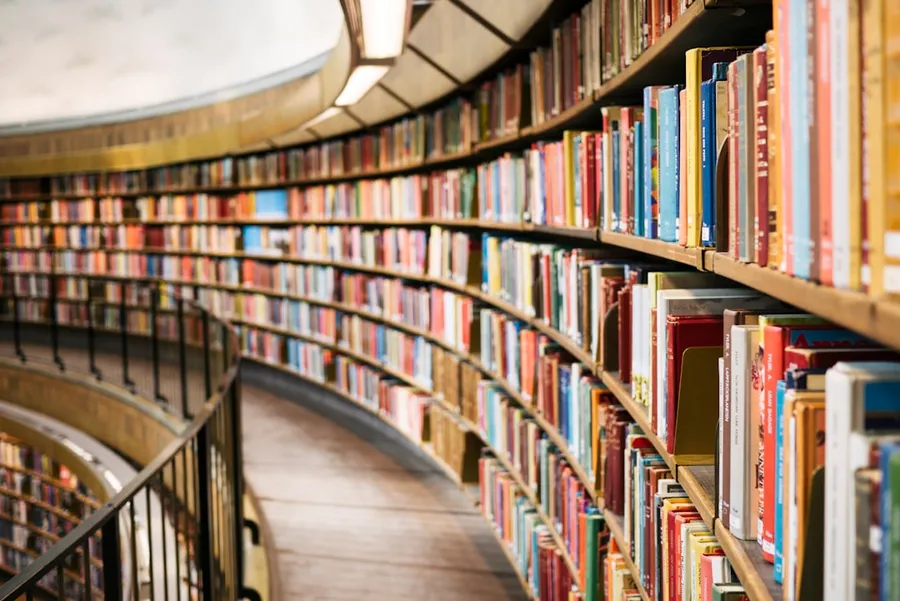 Ilustrasi mimpi membaca buku — books on brown wooden shelf