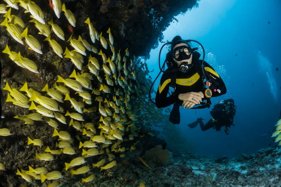 Ilustrasi mimpi menyelam — two people scuba diving underwater