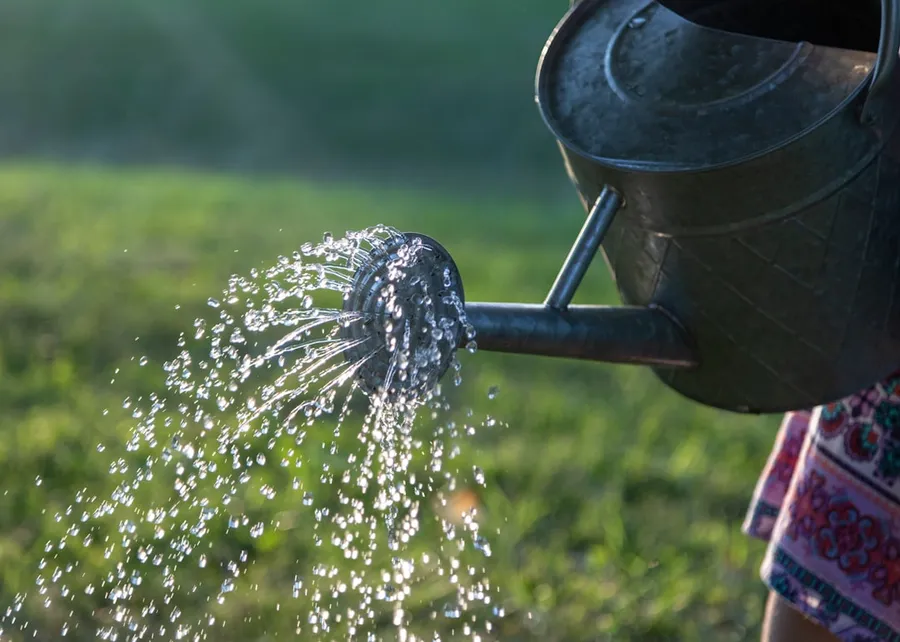 Ilustrasi mimpi menyiram bunga — water pouring on gray steel watering can