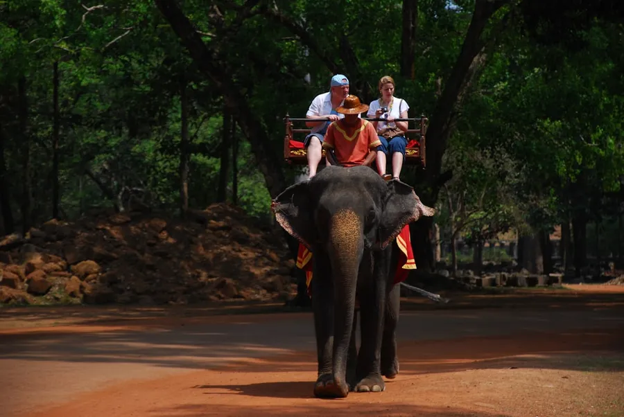 Ilustrasi mimpi naik gajah — people riding on black elephant during daytime