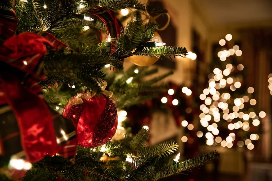 Ilustrasi mimpi natal — green Christmas tree