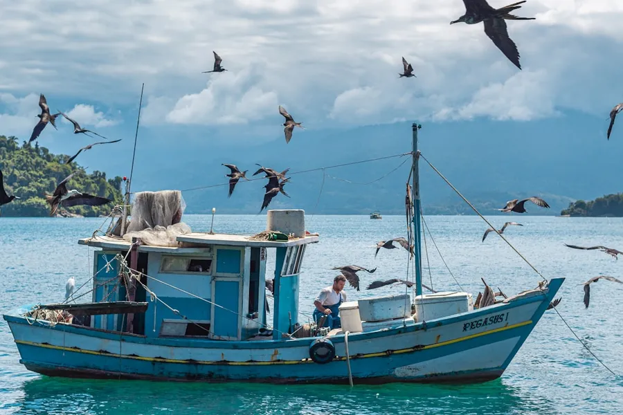 Ilustrasi mimpi nelayan — a fishing boat with seagulls flying around it
