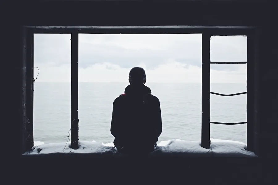 Ilustrasi mimpi orang eskimo — person looking out through window