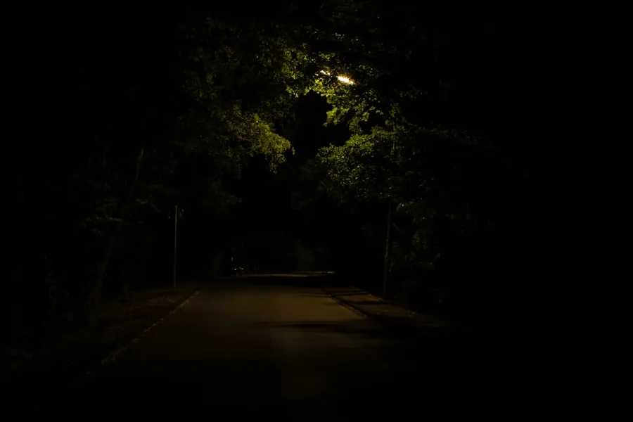 Ilustrasi mimpi pelacur umum — gray concrete road surrounded with tall and green trees during night time
