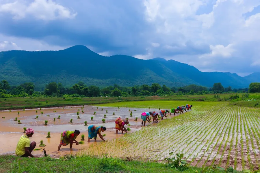 Ilustrasi mimpi petani — a group of people working in a field
