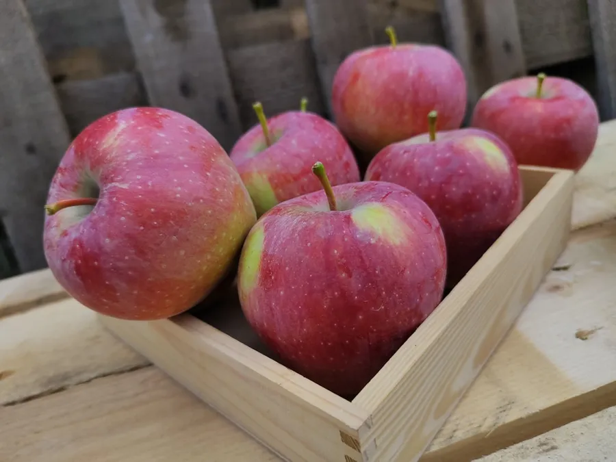 Ilustrasi mimpi peti buah — A wooden box filled with red apples on top of a table