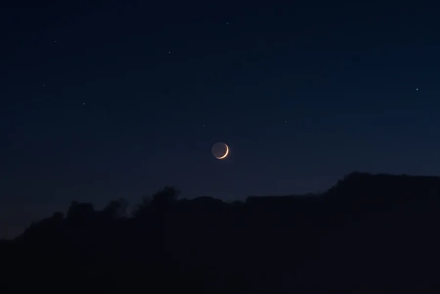 Ilustrasi mimpi rembulan — silhouette of trees during night time