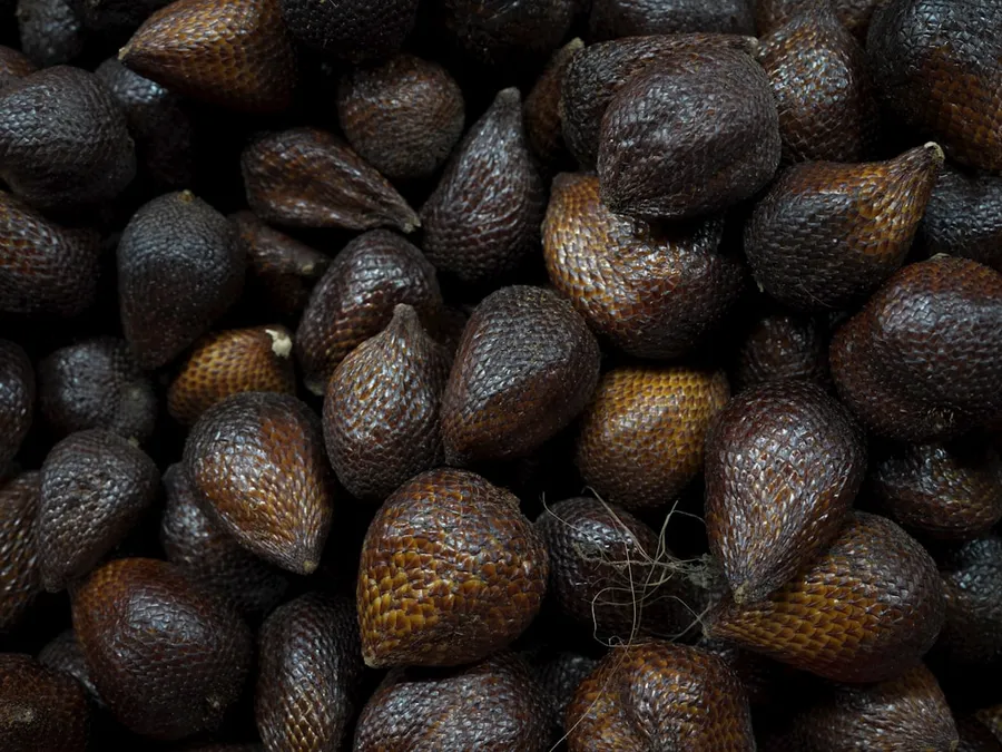 Ilustrasi mimpi salak — A close up of a pile of nuts