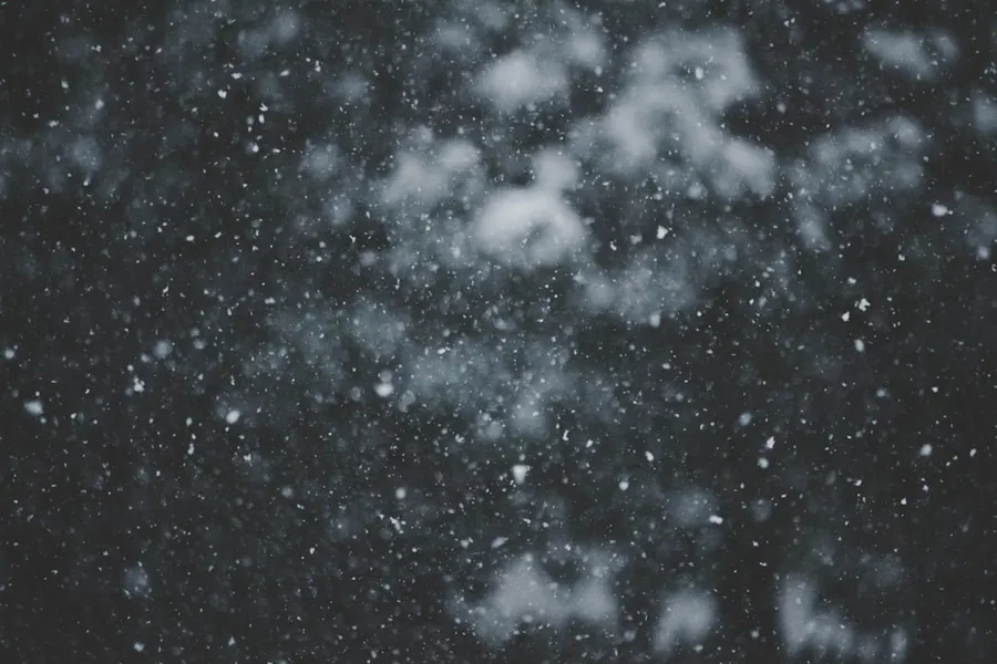 Ilustrasi mimpi salju turun — a black and white photo of snow falling