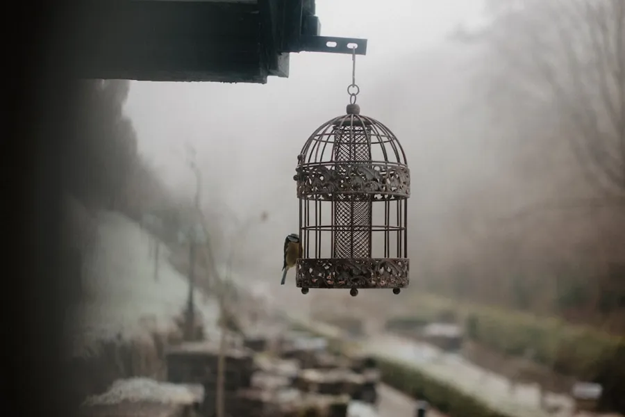 Ilustrasi mimpi sangkar burung — a bird cage hanging from the side of a building