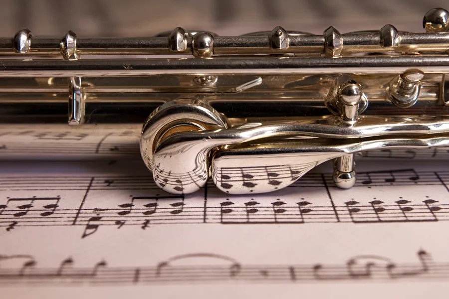 Ilustrasi mimpi seruling — a close-up of a music instrument