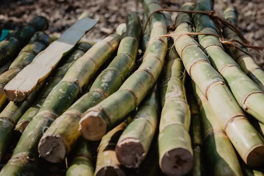 Ilustrasi mimpi tebu — brown bamboo sticks on brown wooden table