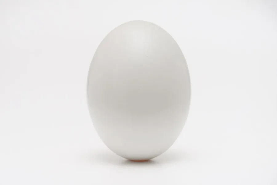 Ilustrasi mimpi telur burung — white egg on white surface