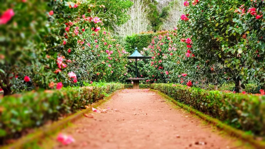 Ilustrasi mimpi tukang kebun — brown pathway between green plants